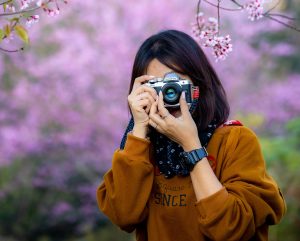 Best cameras for beginners in 2021